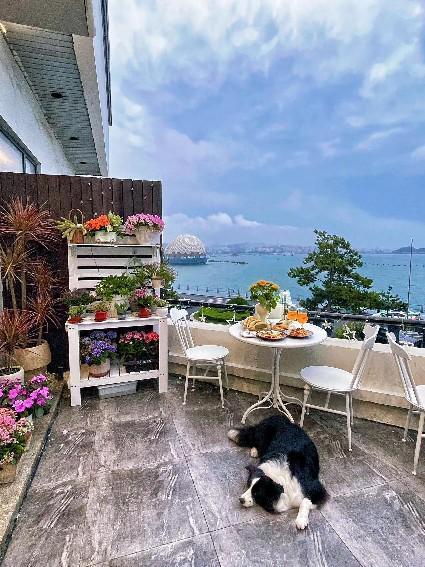 带父母去青岛5天4晚多少钱怎么报团j9九游会入口青岛5天4晚旅游攻略(图6)