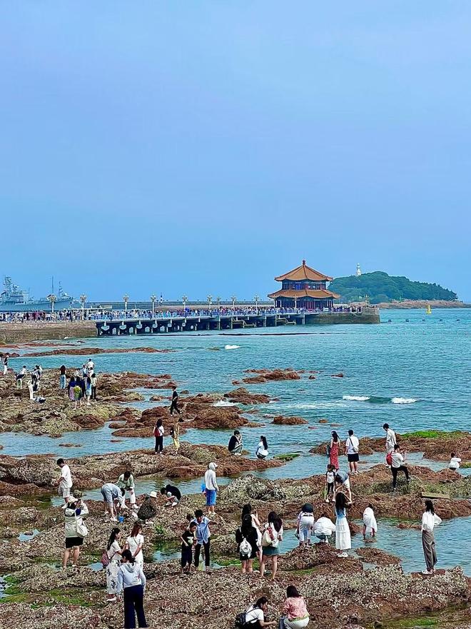 带父母去青岛5天4晚多少钱怎么报团j9九游会入口青岛5天4晚旅游攻略(图3)