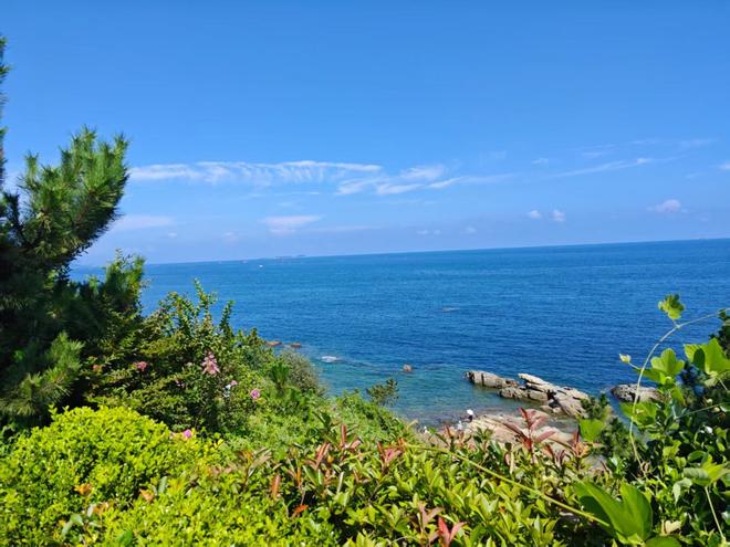 带父母去青岛5天4晚多少钱怎么报团j9九游会入口青岛5天4晚旅游攻略(图5)
