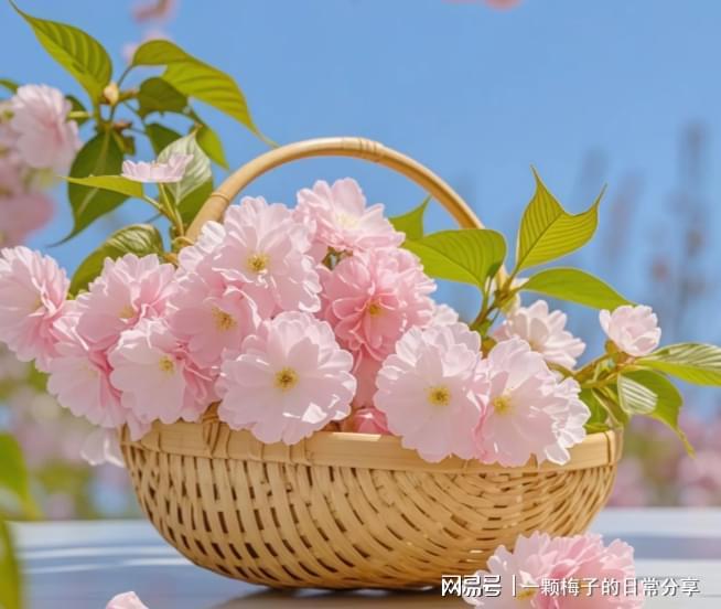 后悔没有早点发现这十款！简直太好用了！j9九游会网站入口护手霜哪个牌子好？(图16)