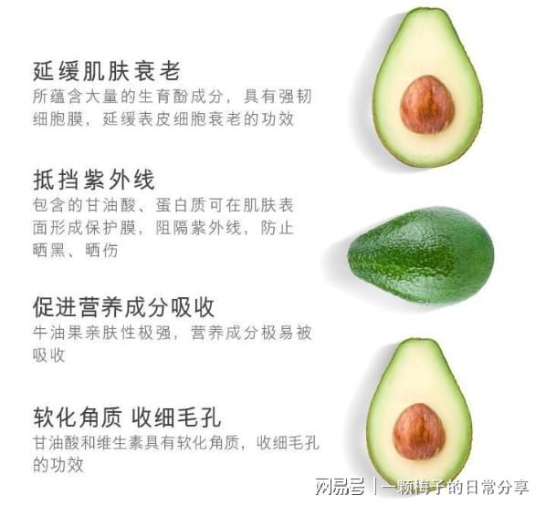 后悔没有早点发现这十款！简直太好用了！j9九游会网站入口护手霜哪个牌子好？(图12)