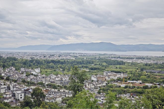 留量”艺术扎根结出“金果子”九游会j9登录凤阳邑流量变“(图4)