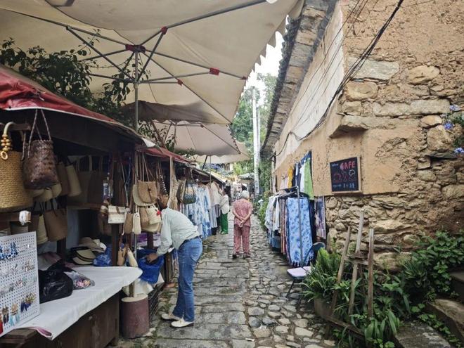 留量”艺术扎根结出“金果子”九游会j9登录凤阳邑流量变“(图2)