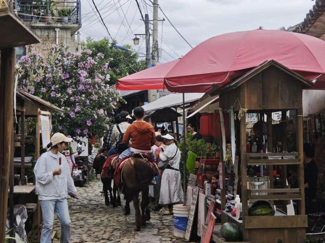 留量”艺术扎根结出“金果子”九游会j9登录凤阳邑流量变“(图6)