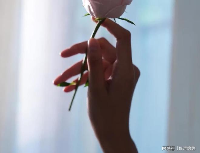 平价护手霜推荐：第一名竟然与雅诗兰黛同源？九游会j9入口登录新版护手霜哪个牌子好？(图4)