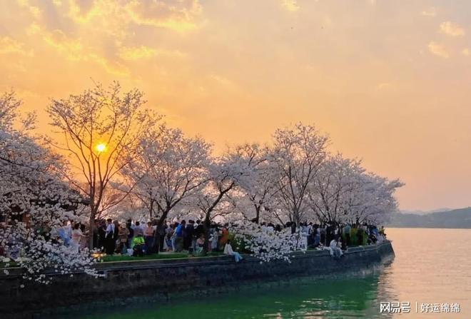 便宜？10款护手霜亲测推荐保湿不油腻！j9九游会登录什么牌子的护手霜好用又(图4)